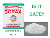 Is Borax Safe??