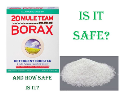 Is Borax Safe??