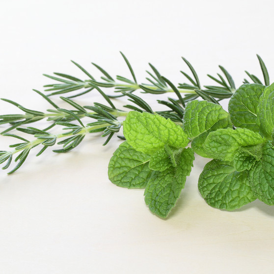 Rosemary Mint Bar, Red Dirt Soap, Natural Lotion Melt, natural skin care, natural wax melt, scented wax tart