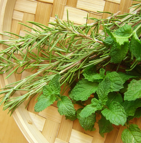 SPEARMINT essential oil, rosemary essential oil, natural shampoo, natural hair care, natural skin care, natural soap, red dirt soap