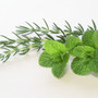 Rosemary Mint Bar, Red Dirt Soap, Natural soap, natural skin care