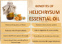 Helichrysum Essential Oil