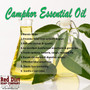 Camphor Essential Oil - Red Dirt Soap Company