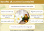 Jasmine Essential Oil
