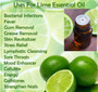 Key Lime Essential Oil