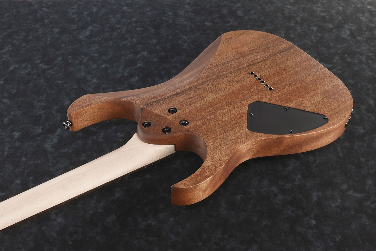 Ibanez RG421mol マホガニーオイル Guitare électrique Ibanez RG421