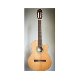 Kremona Sofia S65CW-TL-GG Green Globe