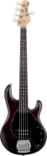 Sterling BY Music Man RAY5-WS-R1 STINGRAY5 Walnut Satin