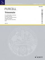 Purcell H. Triosonate RE Mineur  2 Flutes Alto BC