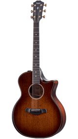 Taylor 324CE V-Class Builder's Edition