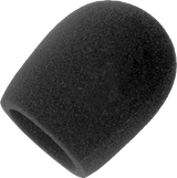 Shure A32WS