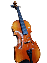 Violon GEWA Allegro 4/4 Violon GEWA Allegro 4/4