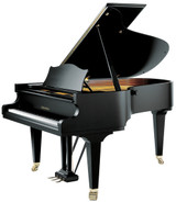 C.bechstein  B-212