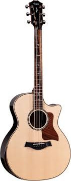 Taylor Next Generation 814ce Natural
