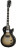 Gibson Adam Jones Les Paul Standard Antique Silverburst