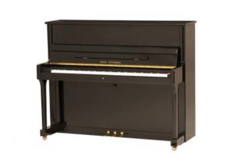 Wilh Steinberg P118 Noir Brillant Laiton