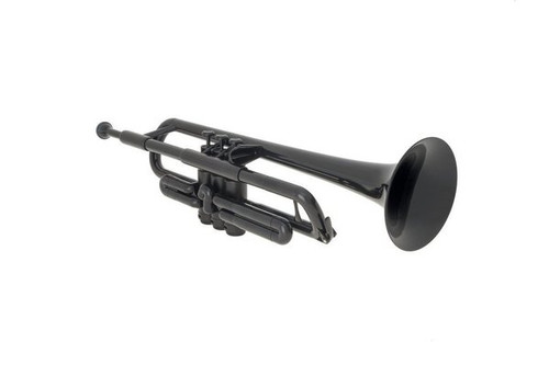Ptrumpet Noir