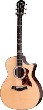 Taylor Next Generation 414ce Natural