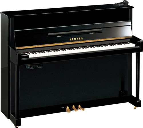 Yamaha B20 SC3