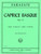 Sarasate P. Caprice Basque Violon