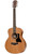 Taylor GS Mini Mahogany Top