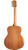 Taylor GS Mini Mahogany Top