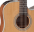Takamine GD20CE-NSNATUREL Satin