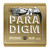 Jeu de Cordes Ernie Ball Paradigm Medium Light Bronze 12-54