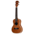 Ukulele Prodipe Guitars BC2 Concert