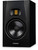 Adam Audio T7V