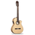 Alhambra 3F CW E1 Cutaway