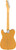 Fender American Professional II Telecaster Butterscotch Blonde Maple