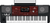 Korg PA700OR
