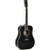 Sigma DT-42-Nashville Edition Speciale