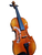 Violon GEWA Allegro 4/4 Violon GEWA Allegro 4/4