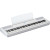 Yamaha P-525 White