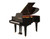 Wilh Steinberg P165 Noir Brillant Wilh Steinberg P165 Noir Brillant