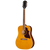 Epiphone Hummingbird Tribute Heritage Sunburst