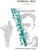 Guiot R. Cividale - Duo Flutes