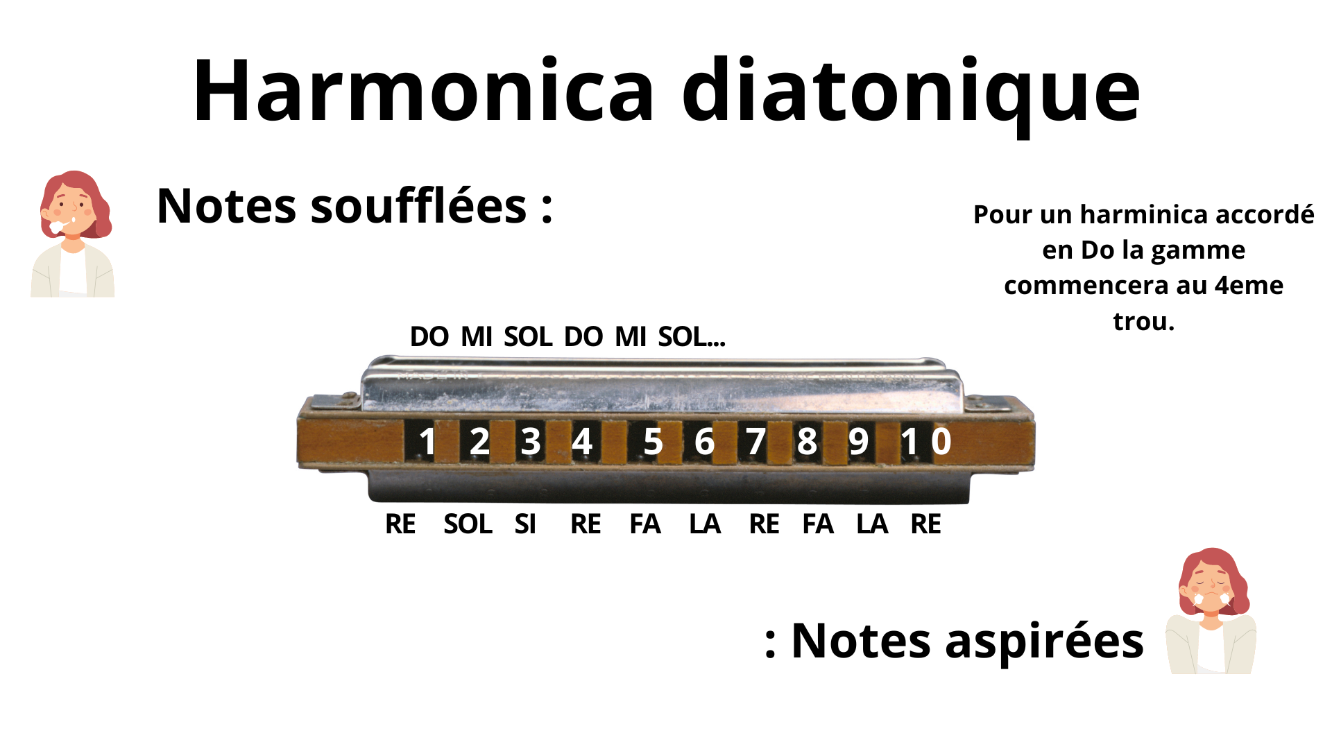 Quel harmonica diatonique choisir pour débuter ? La réponse