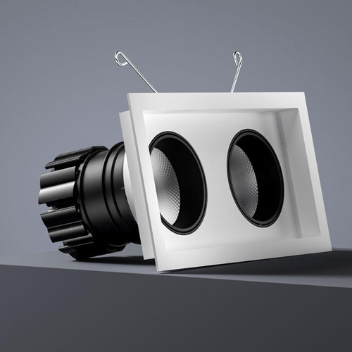 Orluna Look Twin Adjustable Downlight 