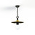 Roger Pradier Montana N°1 Pendant Light