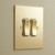 Forbes and Lomax FandL Unlacquered Brass Switches and Sockets