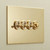 Forbes and Lomax FandL Unlacquered Brass Switches and Sockets