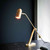 Bert Frank Stasis Table Lamp