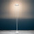 Catellani & Smith Vi. F Floor Lamp 