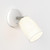 Astro Lighting Carlton Wall Light 