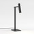 Astro Lighting Leda Desk Lamp 