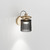 Vistosi Tread Wall Light 