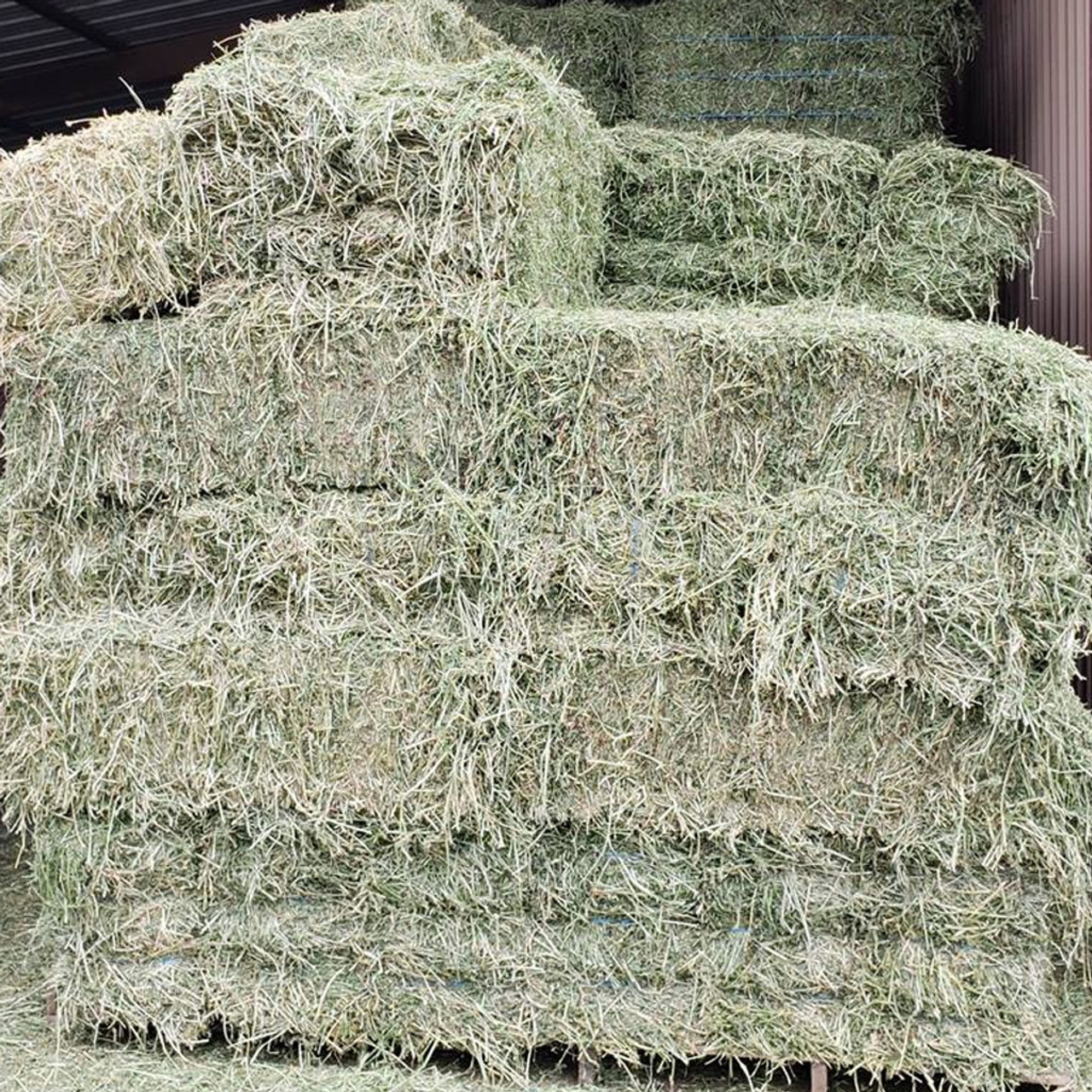 Bermuda Hay Bale 3 - String